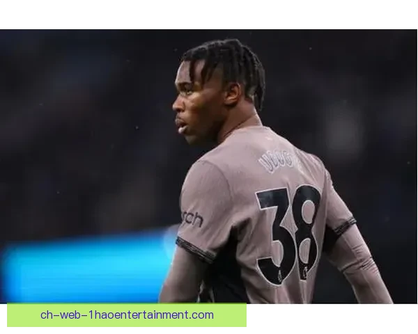 乌多吉左路防守稳健频频助攻成热刺关键先生